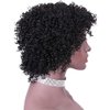 REYNA Short Pixie Cut Afro Kinky Curly Short Jerry Curly No Lace Glueless Brazilian Virgin Human Hair Wigs for Black Women
