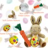 AIHSUMC 4 Pcs Easter Dog Squeaky Toys, Stuffed Dog Toy Plush Easter Egg Bunny Rabbit Toys with Crinkle Interactive Rope Carrot Easter Gift for Puppy Small Medium Dogs
