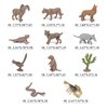 Fantarea Desert Wild Animal Model Figures Playsets 11 PCS Mini Cactus Armadillo Snake Lynx Wolf Scorpion Marmot Figurines Decoration Set Toys for Boys Girls Kids