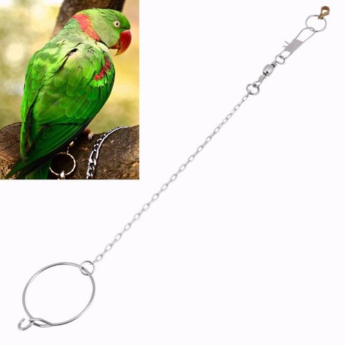Parrot Foot Ring, Bird Anklet Chain Stainless Steel Bird Leash Parrot Opening Activity Ring Bird Stand Anklet Pet Bird Supplies for Cockatiel Sun Conure
