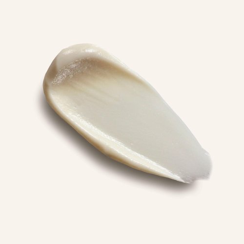 ROUTINE Aluminum Free Natural Deodorant for Women and Men, Antiperspirant Deodorant for Extra Sensitive Skin 58g Eucalyptus, Cocoa & Rose Geranium (The Curator No Baking Soda Jar)