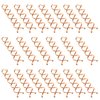TUUXI 20 Pcs Spiral Bobby Hair Pins Rose Gold Hair Screws Hair Twister Hair Accessories for Women Fast Bun Thick Hair Style