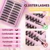 Cluster Lashes Wispy Individual Lash Extensions D Curl Natural Lash Clusters 10-14MM 96 Pcs DIY Eyelash Extension Reusable Eyelash Clusters at Home by MLEN DIARY