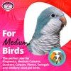 Super Bird Creations SB1132 Maraca Blast Bird Toy - Interactive Bird Toy, Ideal Bird Cage Toy for Medium-Sized Birds like Parrots, Durable Pet Bird Toy for Enrichment Engaging Activity Toy - 6.5" x 4"