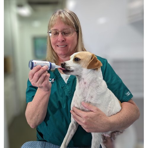 Fetch A Vet Activated Charcoal Gel 60ml EZ Dose Bottle (1-Pack) Pet Emergency First Aid Poison Antidote Treatment