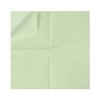 100 Pack Cocktail Napkin 2-Ply Dessert Napkins Folded 5 x 5 Inches Disposable Napkins for Dinner Wedding Birthday Party Bridal Anniversary Reception Event (100, Sage-Green)