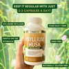 NutriONN PSYLLIUM Husk Capsules - 1450mg Per Serving - 240 Capsules - Double Strength - Premium Psyllium Fiber Supplement - Great for Digestion and Regularity - 100% Natural Soluble Fiber