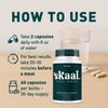 (2 Pack) Skaal Capsules - Official Skaal Tinnitus Advanced Support Supplement, Natural Skaal Pills For Overall Health & Wellness Multivitamin Supplement, Skaal Support Pills, 120 Capsules For 2 Months
