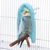 Filhome Comfort Corner Fleece Bird Blanket Parrot Cage Snuggle Hut Warm Bird Nest House Bed Hanging Hammock Toy for Parakeet Cockatiel Pigeon Small Animals Shelter Plush Bedding(Blue/M)