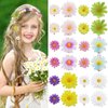 LACGO 24 PCS Daisy Flower Hair Clips - Mini Daisy Hair Clips for Girls Small Flower Barrettes for Women Toddler Hair Clips Daisy for Hair Cute Summer Wedding Beach Bridal Braid(Colors)