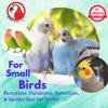 Bonka Bird Toys 35036 Pk4 Jingle Balls Foot Talon Parrot Cage Toys, Parrotlet, Budgie, Quaker, Cockatiel, Parakeet, Cat, Kitten, and Similar