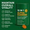 10-in-1 True Alpha Shilajit Gummies, 4000mg Himalayan Alpha Gummies for Men, Energy Boost, Immune Support, with Ashwagandha, Maca Root, Tongkat Ali, Fulvic Acid, 85+Trace Mineral, No Added Sugar, 60ct
