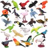 Warmshine 24 Pcs Realistic Bird Animals Figurines Mini Bird Figures Model Eagle Parrot Robin Owl Plastic Bird Figures Toys Fairy Garden Accessories Dollhouse Birthday Cake Toppers