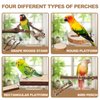 LIMIO 6PCS Bird Perch 2 Grape Stick Paw Grinding Fork Natural Wood Bird Stand 4 Parrot Stand Bird Toys for Parakeets Chewing Exercise Branches, Bird Cage Accessories for Cockatiels, Conure, Budgies