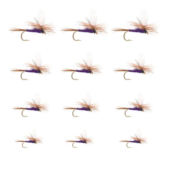 12 Adams Purple Parachute Caddis and Mayflies Trout Dry Fly Assortment | Dry Fishing Flies | Size 12, 14, 16, 18