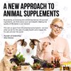 Multivitamin for Dogs & Cats | Multivitamin for Cats | Dog Vitamins Multivitamin | Pet Vitamins | Vitamin for Cats | Liquid Dog Vitamins | Liquid Cat Vitamins