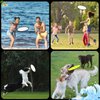 V-chen 5PCS Foldable Flying Disc Fans Set with Bags, 9.8 Inch Black Egde Fabric Beach Flying Disc for Wedding Gift Party Favors Outdoor Activity