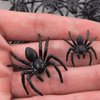 100 PCS Realistic Plastic Spiders Fake Spiders 3 Sizes Black Small Spider Fun Joke Toys Prank Props for Halloween Decorations