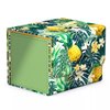 Ultimate Guard Limited Run Sidewinder 100+ Floral Places II, Deck Box for 100 Double-Sleeved TCG Cards, Bahia Green, Magnetic Closure & Microfiber Inner Lining…