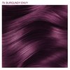 Adore Semi Permanent Hair Color - Vegan and Cruelty-Free Hair Dye - 4 Fl Oz - 079 Burgundy Envy (Pack of 1)