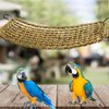 19.7 x 7.87 Bird Seagrass Mat Natural Seagrass Woven Net Rat Cage Accessories Bird Foraging Chew Wall Toys Climbing Rope Ladder Chew Toys for Parrots Cockatoos Lovebird Cockatiel Hamster Parakeet