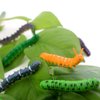 DOYIFUN 12 Pcs Simulation Caterpillar Fake Worm Crawling Insects Science Educational Learning Toys Halloween Prank Joke Toy Party Favors