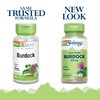 Solaray Burdock Root 425 mg | Healthy Liver, Kidney, Digestion, Circulation, Joint & Skin Support | Antioxidant Activity | Non-GMO | 100 VegCaps