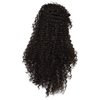 Codeven Long Cosplay Costume Wig Synthetic Hair Heat Resistant African Wigs Curly Full Wigs for Black Women