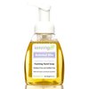 kosmatology Botanical Bliss (Lavender-Eucalyptus) Organic Foaming Hand Soap, 8.5 fl oz