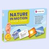 hungry brain Flash Cards for Toddlers, 24 Nature in Motion Flashcards, Double-Sided, Montessori, Educational, Kindergarten - Preschool Learning Activities, Gifts for Kids, 1, 2, 3, 4 Years Babies
