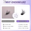 MOMOLASH Cluster Eyelash Extensions Fluffy Lash Clusters 60D Volume Individual Lashes 320pcs Wispy Eyelash Clusters 9-16mm DIY Lash Extension at Home