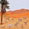 BRETOYIN 11PCS Mini Desert Animals Figurines Set Desert Realistic Desert Animals Figurines Toys Party Decorations Tabletop Decorations for Kids