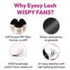 Eyesy Lash 500 Wispy Lash Extensions | 5D 0.07 Size 10mm Curl CC | Wispy Natural Lash Look Premade Fans Eyelash Extensions Kim K American Volume Promade Fans Handmade Pre Made Loose Fan Lashes