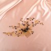 BERYUAN Hair Comb, Black Crystal Gold Beads Wedding Hair Piece, Elegant Hair Accessory for Brides Bridesmaid, Handmade Item, Boho Style, Delicate Jewelry for Women, Size 19*9cm, 26g