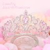 CIEHER Small Crown for Girls Cake Topper Mini Crown Girls Princess Tiara Birthday Crown Wedding Cake Decoration - Silver and Pink