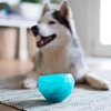 Messy Mutts Stuff’n Wobble Ball | 5” Fillable Dog Toy | Interactive Puzzle Ball for Dogs | Engaging Treat Dispensing Toy for Dogs