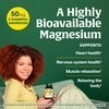 MegaFood Magnesium - Supports heart & nervous system - Magnesium Supplement with fermented Magnesium Glycinate - Vegan, Gluten-Free, Non-GMO and Kosher - Made Without 9 Food Allergens - 60 Tabs