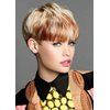 FCHW-wig Short Hair Wigs For Black Women Short Pixie Cuts Wigs For Black Women Short Straight Ladies Wigs Synthetic Short Wigs For Women African American Women Wigs 9616