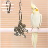 JSLZF Stainless Steel Parrot Toy, Hanging African Grey Chew Toy for Bird, Non-Removable Cap Nuts Foraging Bird Toy for Conure, Cockatiel, Parakeet, Cockatoo, African Grey