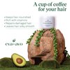 Eva + Avo Hair Conditioning Mask, Deep Conditioner for Dry Damaged Hair - Hydrating Hair Mask with Avocado, 8 Fl Oz - Paraben and Sulfate-Free