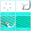 VAVALASH 320 Fans Premade Fans Eyelash Extensions 10D 14D 16D 20D 0.05 0.07 Thickness C/D Curl Middle Stem Premade Fans Volume Lash Extensions (320 Fans-10D-0.05-D-8-15mm)