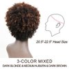 Style Icon Afro 5" Short Curly Wigs with 100% Brazilian Hair (3-Color Mixed: DARK BLONDE & MEDIUM AUBURN & DARK BROWN) - Afro Wigs for Black Women - Human Hair Wigs - Beauty Personal Care Afro Wig