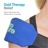 NatraCure Universal Cold Pack Ice Wrap - Cold Ice Pack w/Strap for Injuries - Reusable Cold Ice Pack for Shoulder, Neck, Head, Ankle, Leg, Foot, Hand, Wrist, Arm, Elbows & Ice Wrap for Knees - 2 PK
