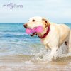 Molly & Mo Pink Dog Toy - Bone