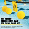 Spike Replacement Game Balls 3-Pack with Pump Compatible with Spike Standard Game Set and Other Round Net Game | Lawn Beach Volleyball | Strong Bounce Ball | Toy Activity & Play Balls ( 3.5inch )