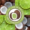 SodaWax™ Natural Deodorant LIME IN THE COCONUT (3.3oz/93g) $20+ ORDERS SHIP FREE