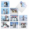 The Best Card Company - 10 Holiday Note Cards for Christmas - Festive Bulk Assortment, Boxed Notecards with Envelopes (4 x 5.12 Inch) - Penguins and Greetings M2951XSG