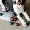 Midlee Dog Christmas Plaid Tennis Balls (Standard)
