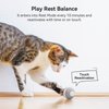 Cheerble Smart Interactive Cat Toy, Automatic Moving Bouncing Rolling Ball for Indoor Cat Kitten, Peppy Pet Ball with Lights and Bell, Grey