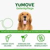 YuMOVE Hip and Joint Supplement for Dogs with Glucosamine,Chondroitin, MSM, Omega 3, Hyaluronic Acid, & Green Lipped Mussel - Joint Support Supplement - for Adult Dogs 300 Tablets